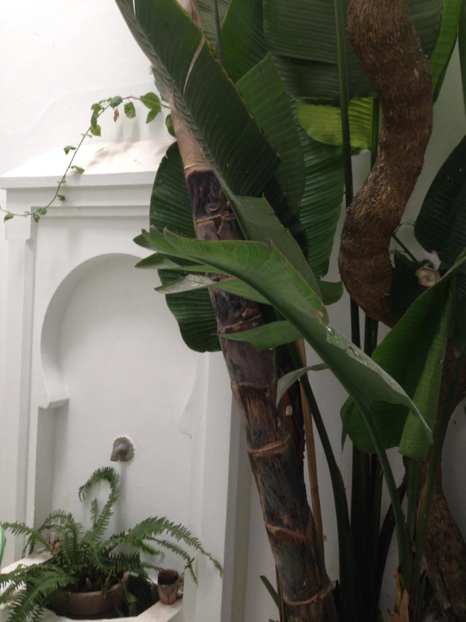Vila Casabonita Asilah Exteriér fotografie