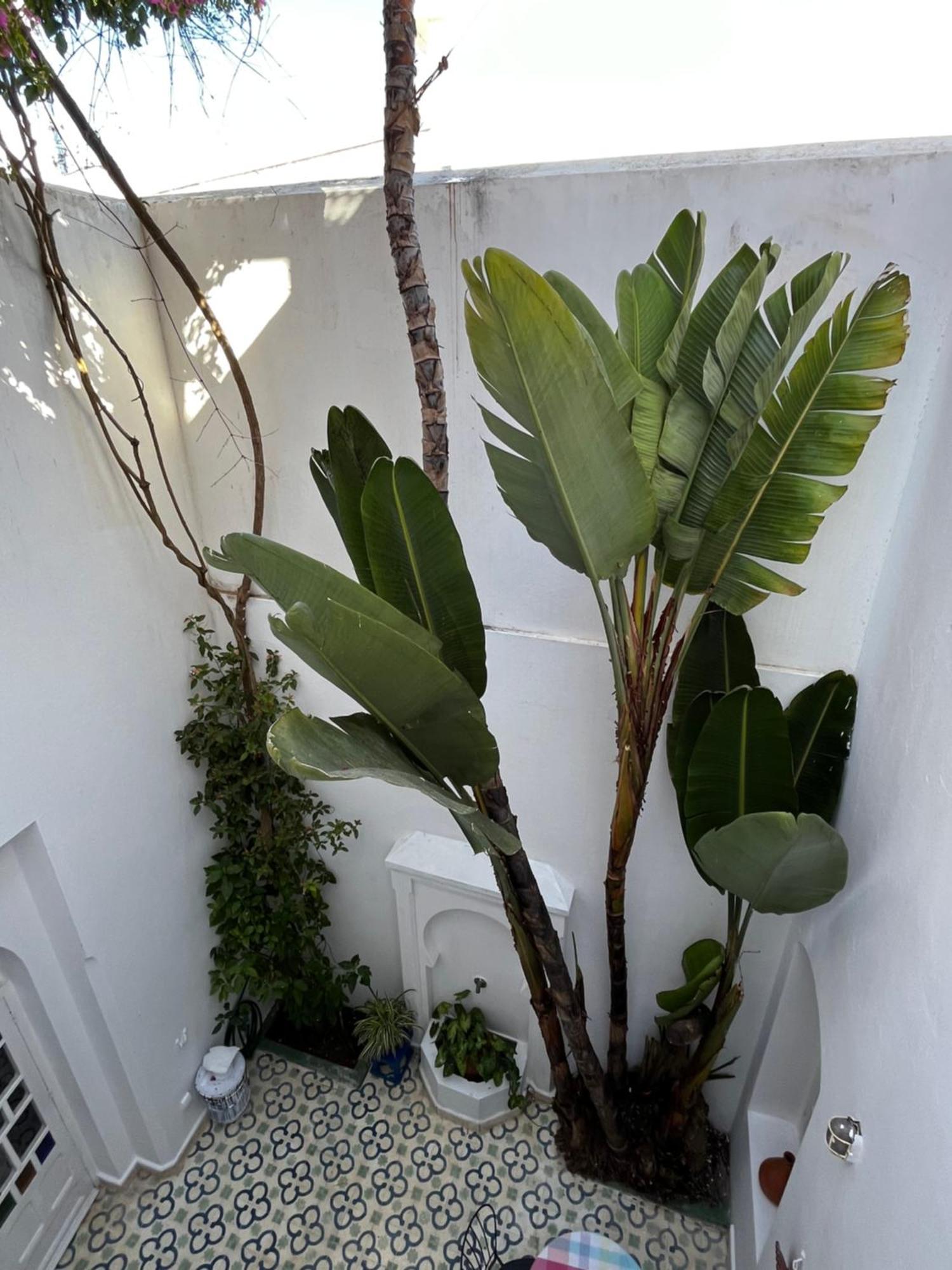 Vila Casabonita Asilah Pokoj fotografie